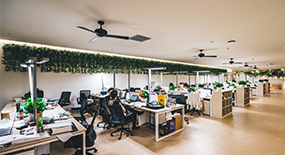 正规买球的平台风采