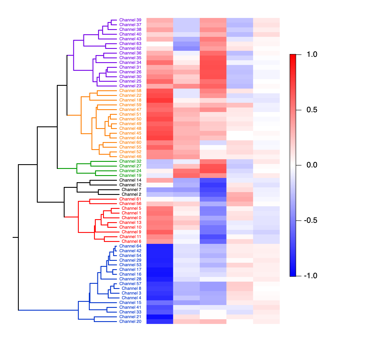 Igor pro9改进层次聚类分析 